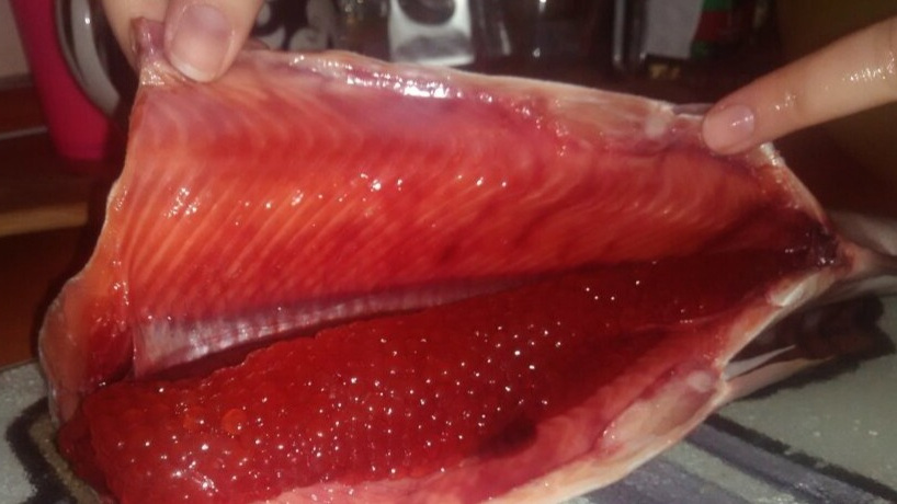 Правильная толщина брюшка икряной горбуши