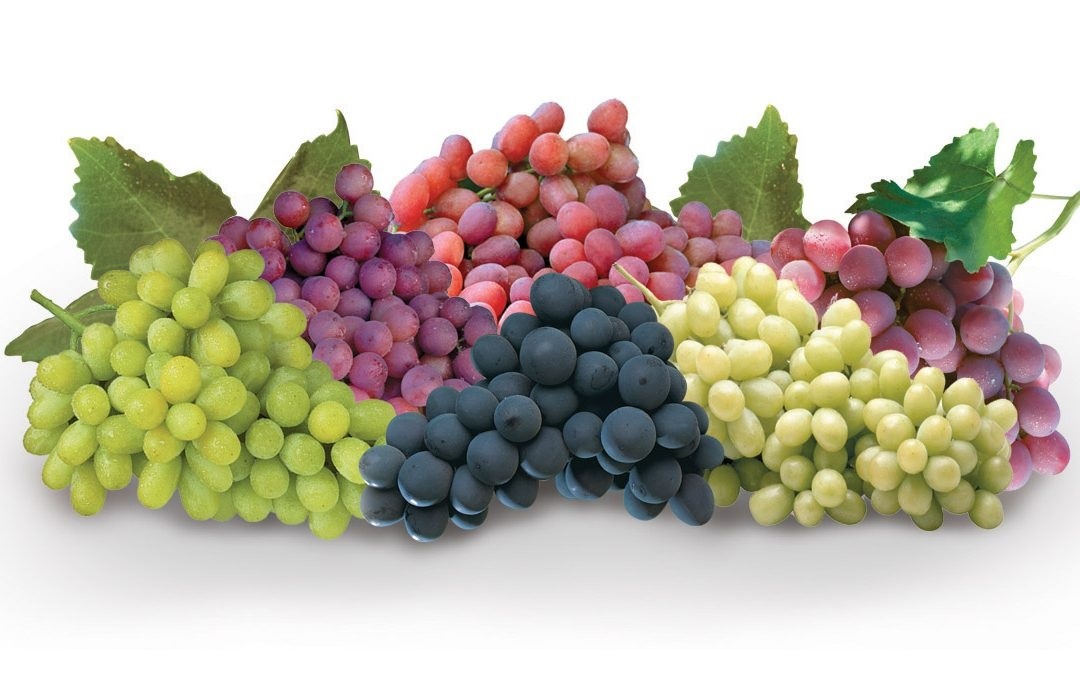 Выбор за вами