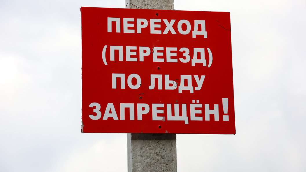    Фото: Elena Mayorova/Global Look Press