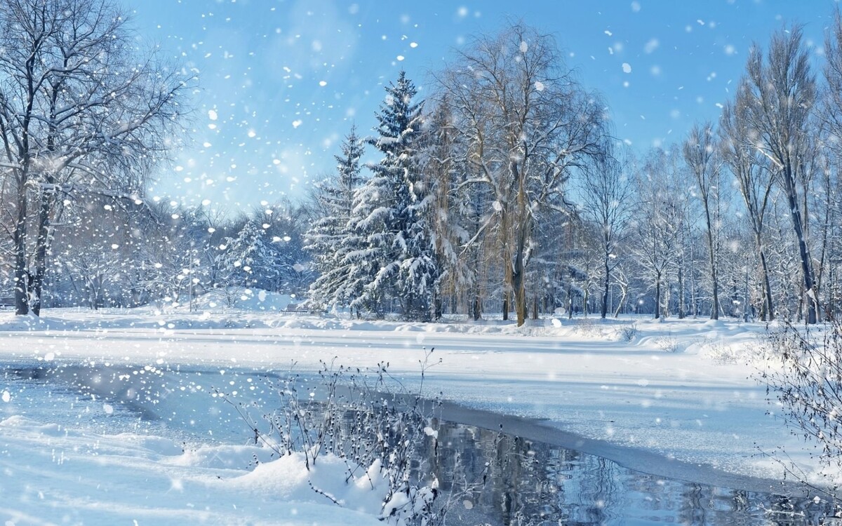 Источник: Яндекс. Картинки