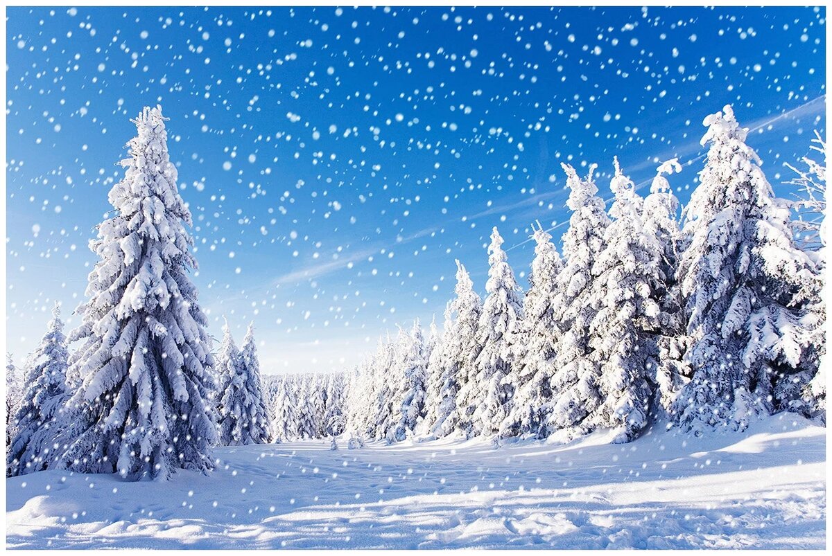 Источник: Яндекс. Картинки