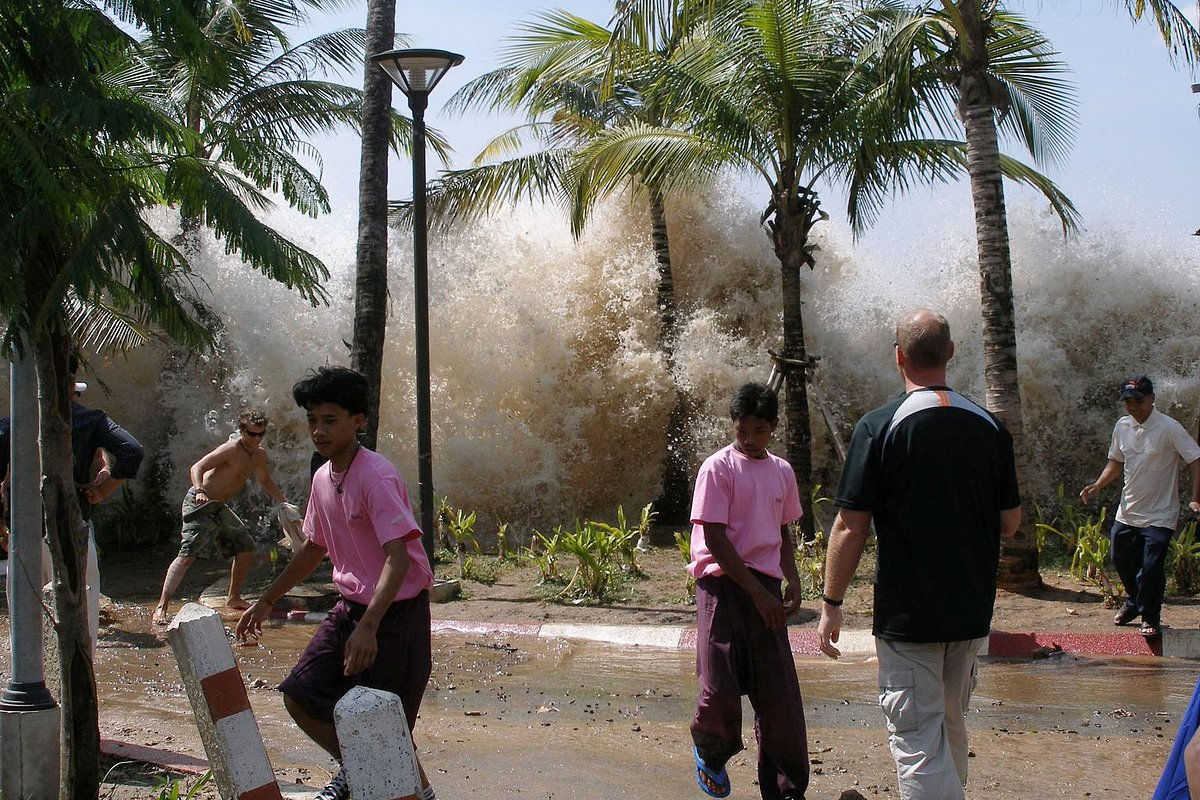 Яндекс-картинка.