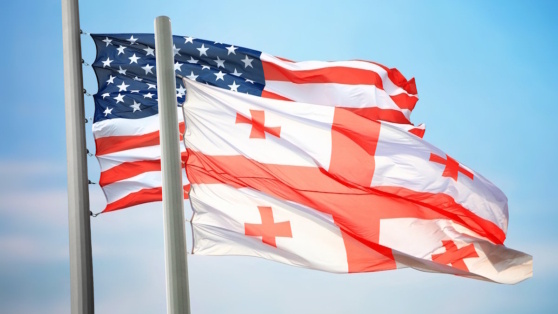    В Тбилиси прокомментировали санкции США против Иванишвили Виктория Шварц