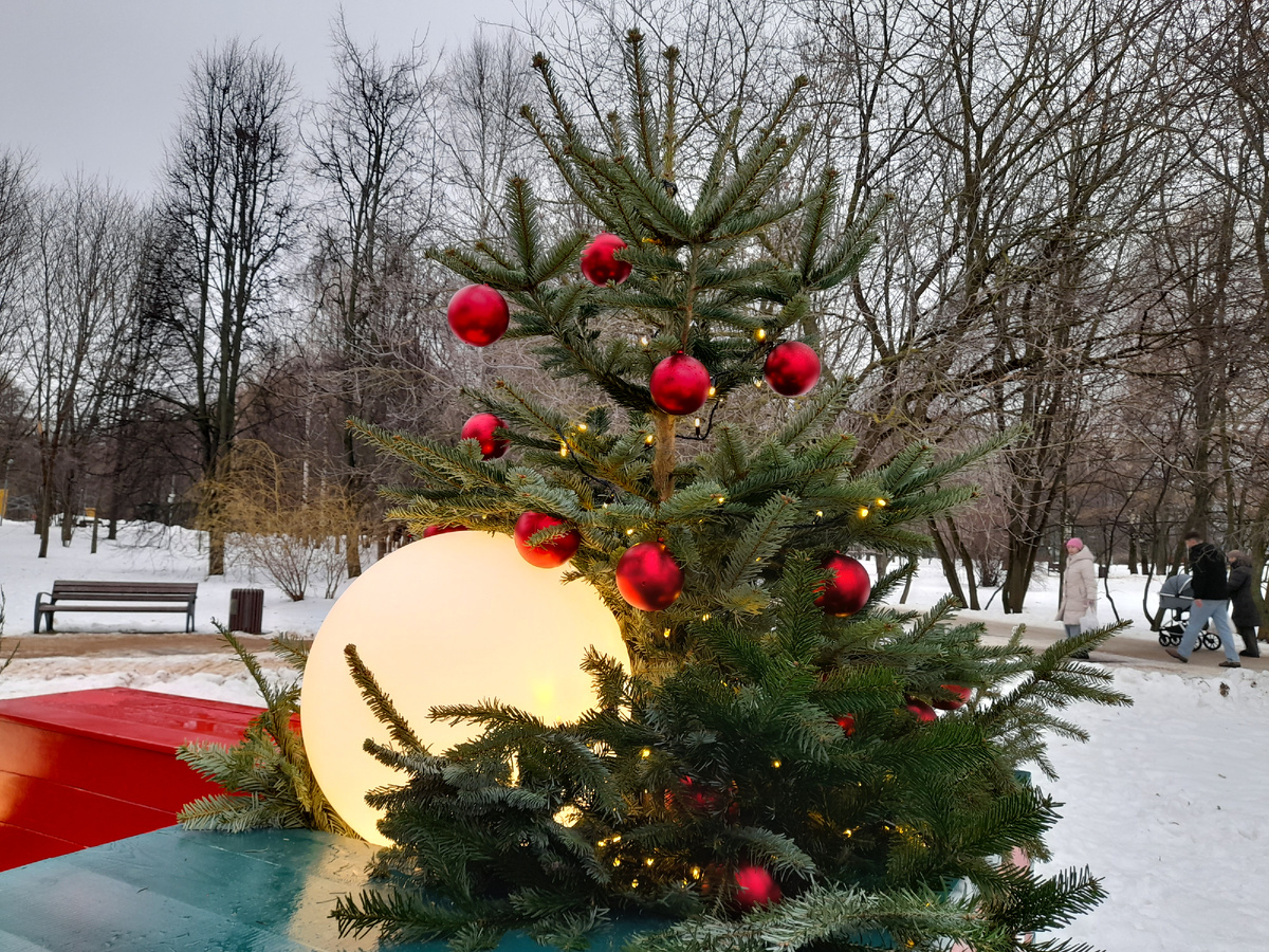 Фотозона в парке