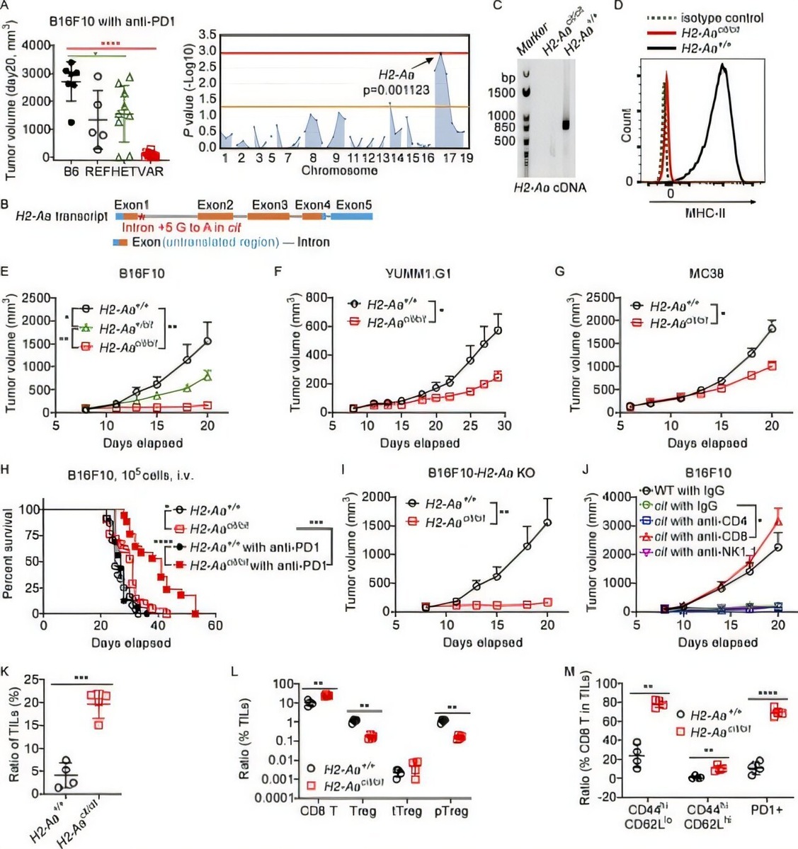    Journal of Experimental Medicine