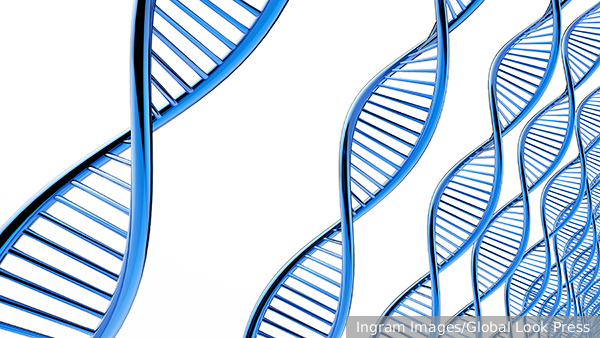     Фото: Ingram Images/Global Look Press   
 Текст: Татьяна Косолапова