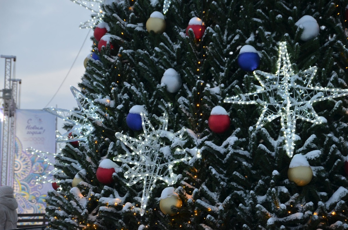    Фото: Кристина Савиных