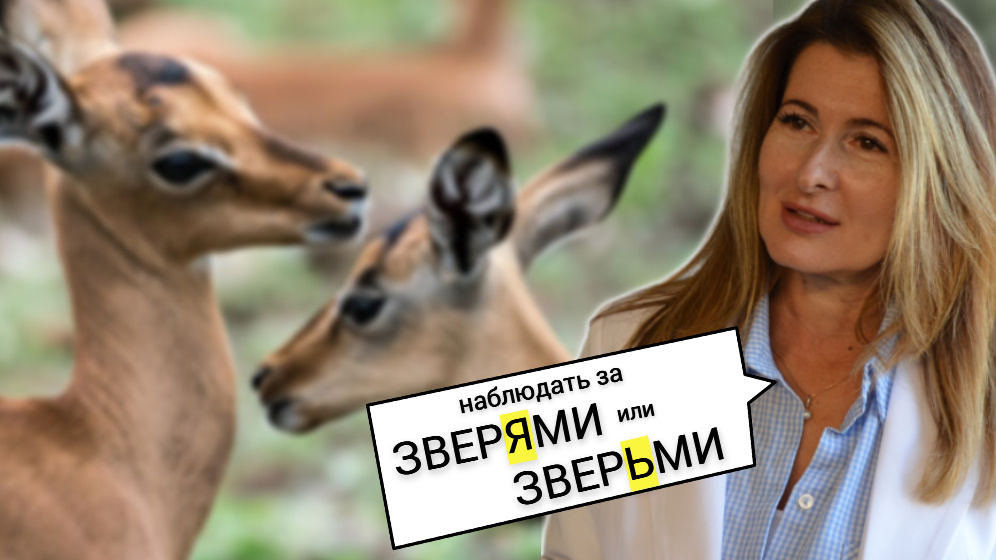 фото от freepik