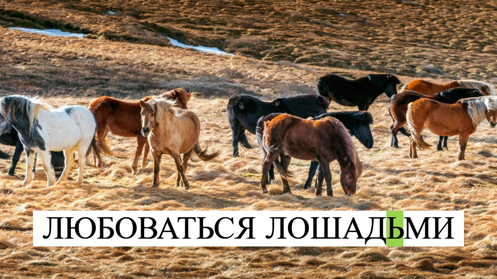 фото от freepik