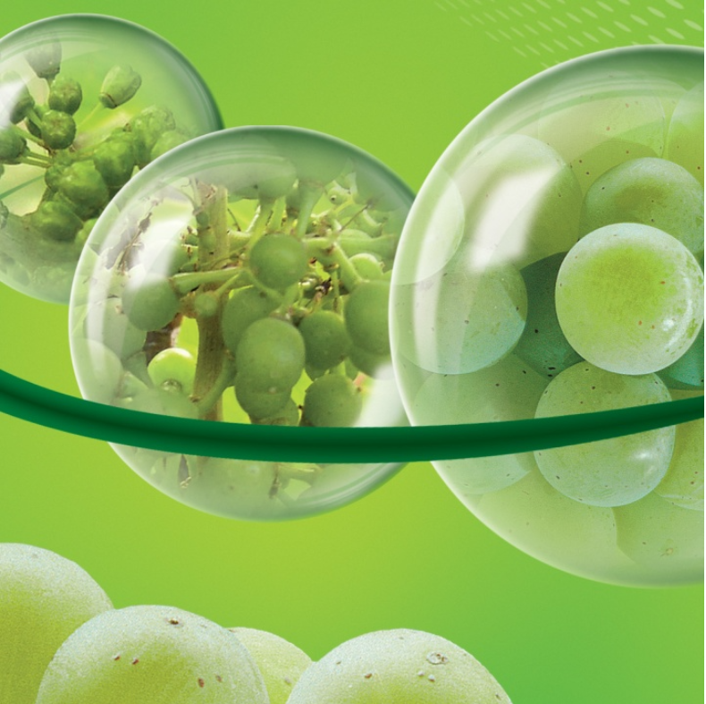 Скриншот фото с российского сайта  BASF