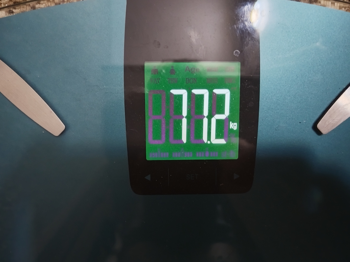 28 декабря 2024