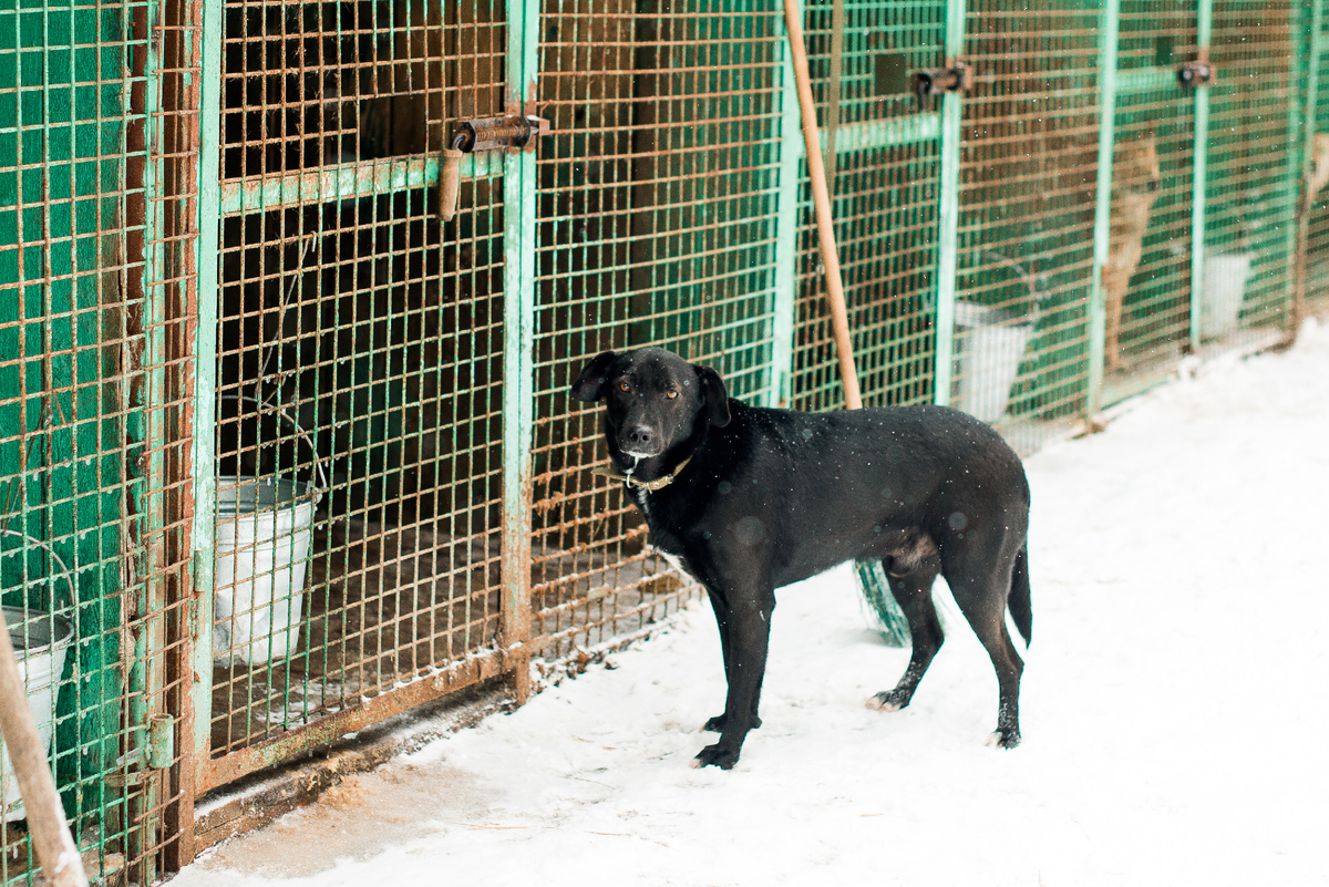 Привет! Буду благодарен, если ты не закроешь эту статью про меня... Ну, что я совсем-совсем тебе не понравился?