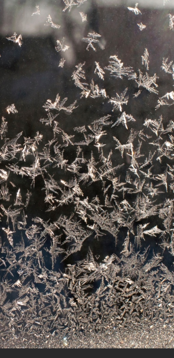 Фото с интернета.