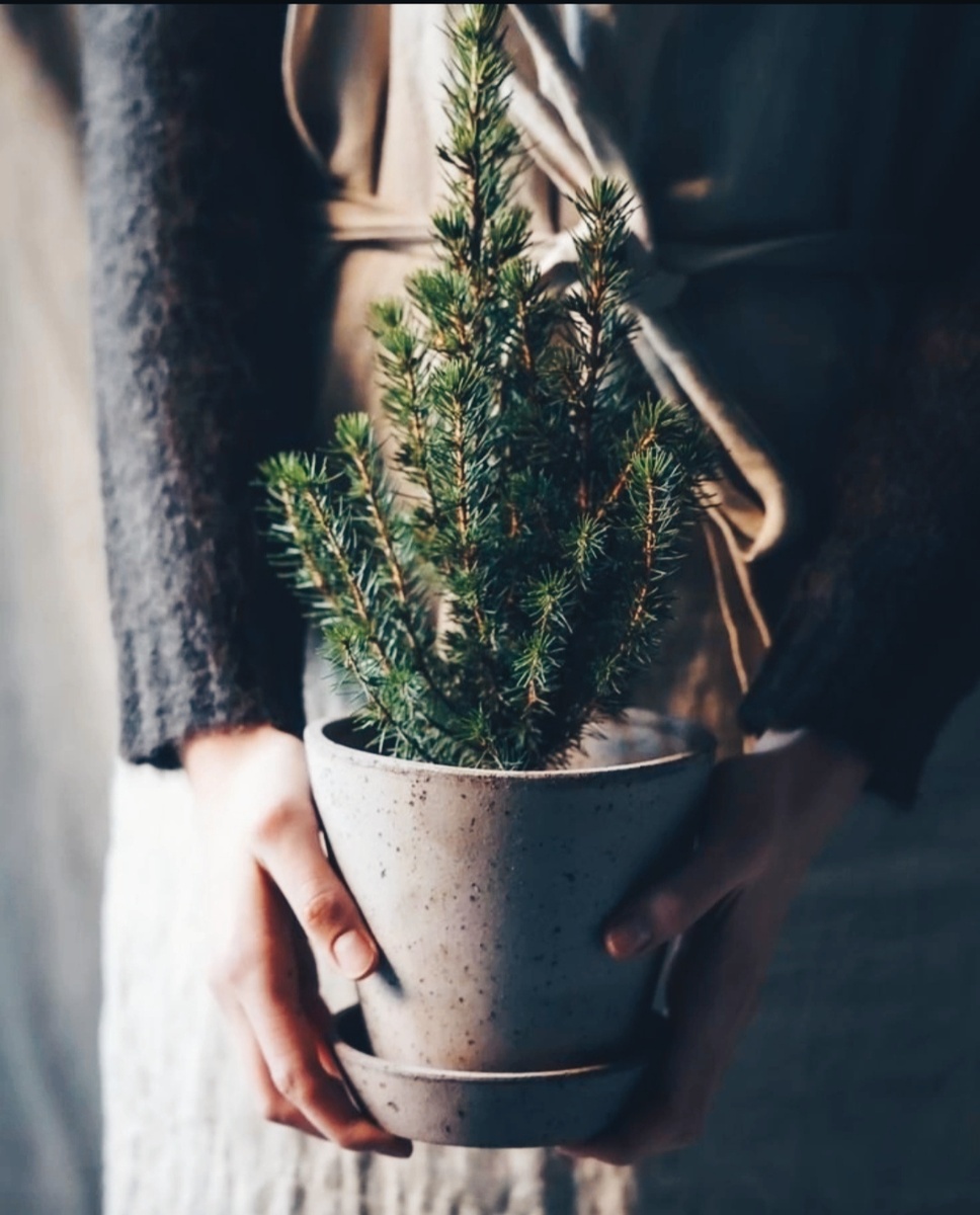 Картинка из интернета 