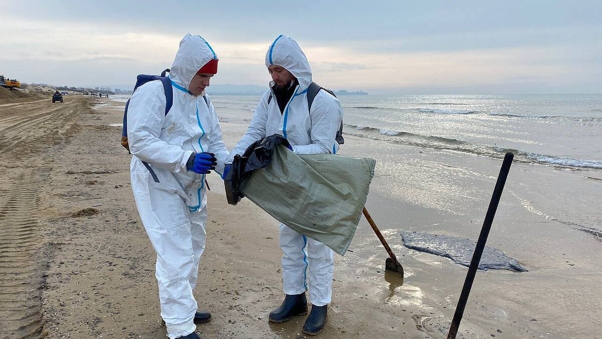    Фото: телеканал «Краснодар»