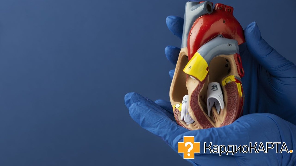 Источник фото: freepik.com