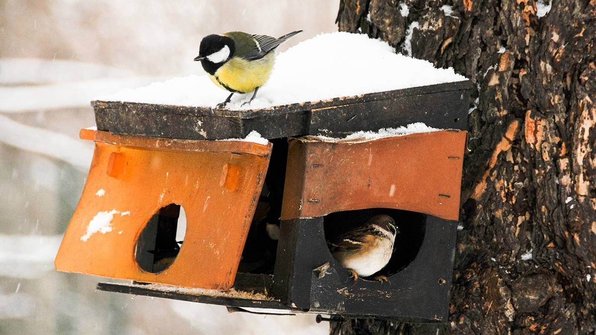    Фото: АГН Москва