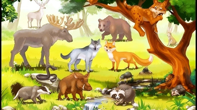 картинка из интернета