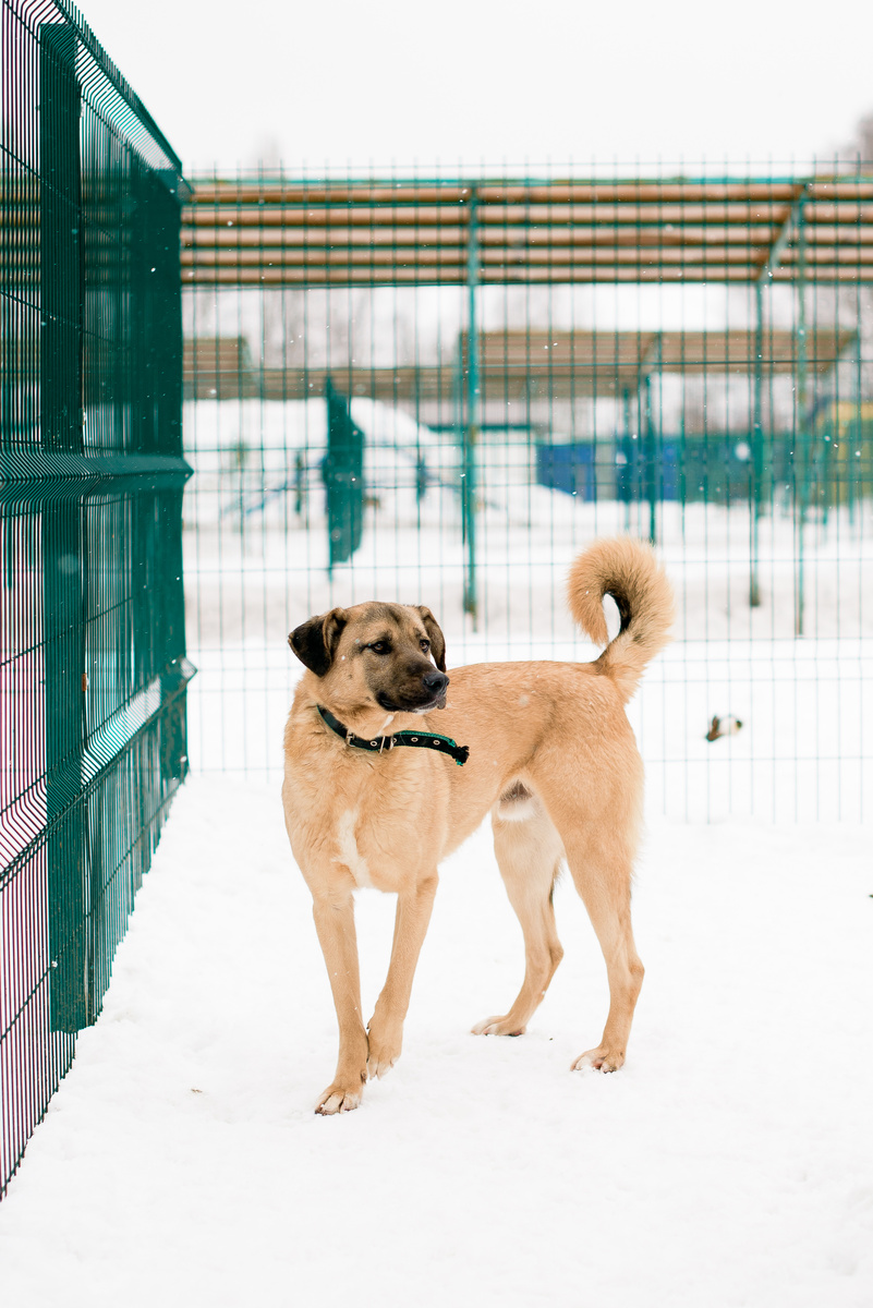 Мы все этот день обводим в красный кружочек на календаре