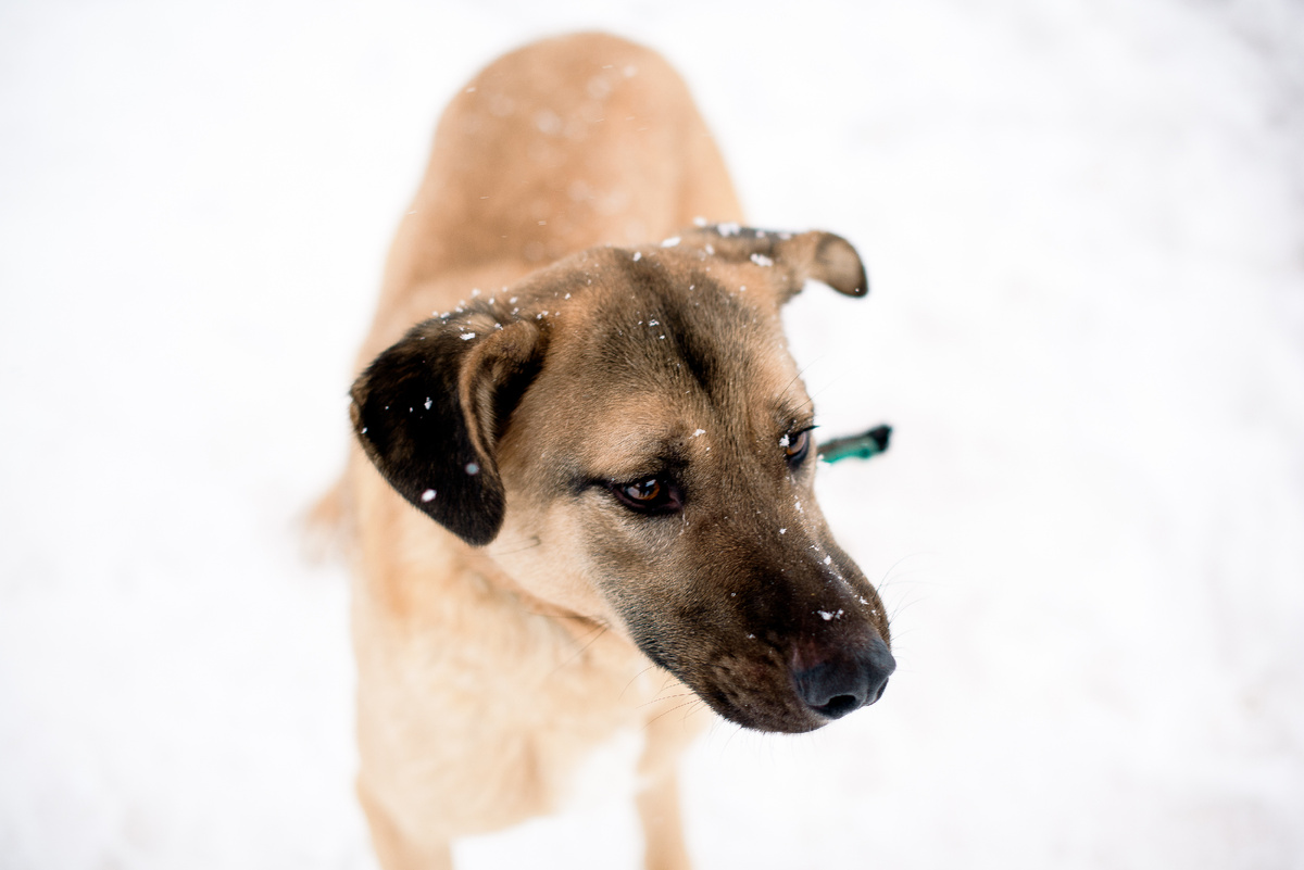 Мы, конечно привыкли, но ведь это не значит, что так и должно быть до конца дней наших