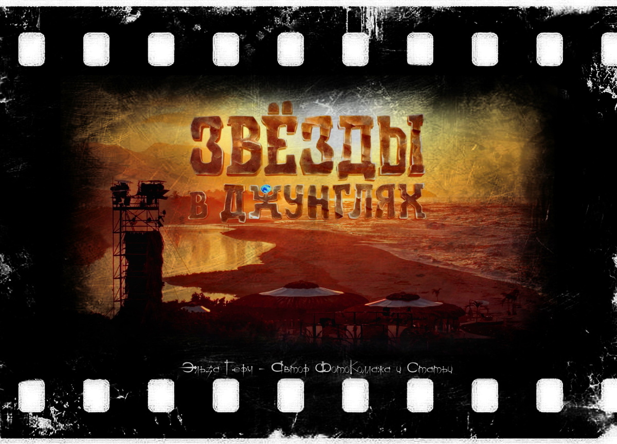 ФотоКоллаж Эльза Герм. "Звёзды в джунглях", реалити-шоу, 2024 г