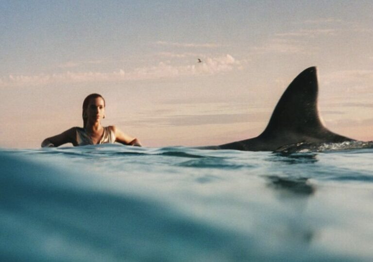    Фото: @dualipa Маргарита Салахова