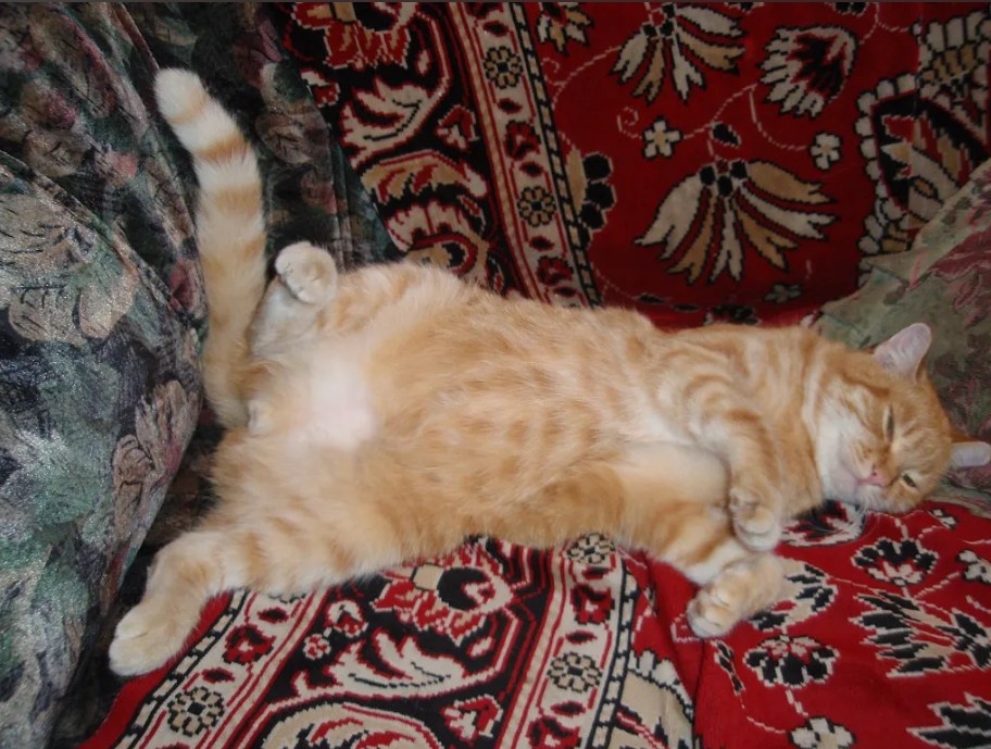 Семён Семёныч.