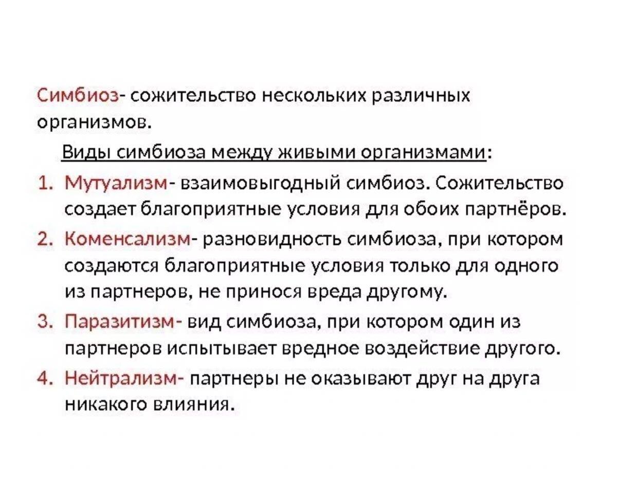    Уникальное слияние двух форм жизни