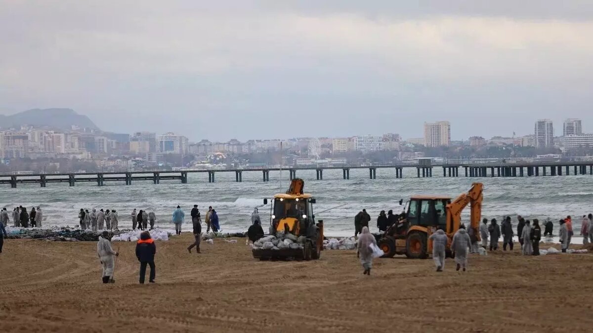 После разлива мазута в Черном море в Краснодарском крае ввели режим ЧС федерального масштаба. Источник: Телеграм-канал Вениамина Кондратьева