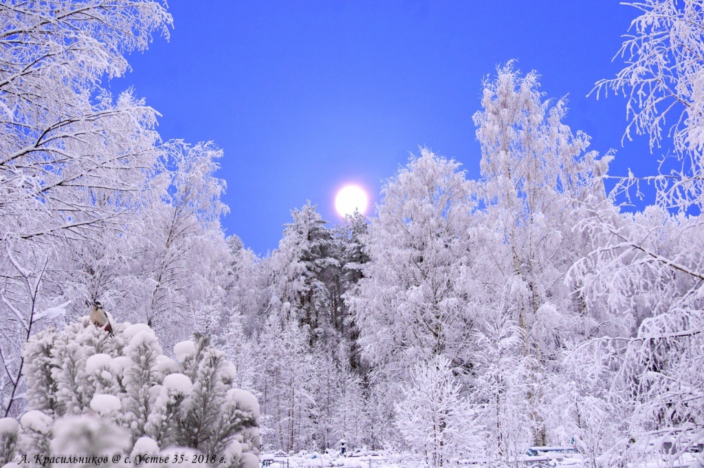 Фотограф Александр КРАСИЛЬНИКОВ.