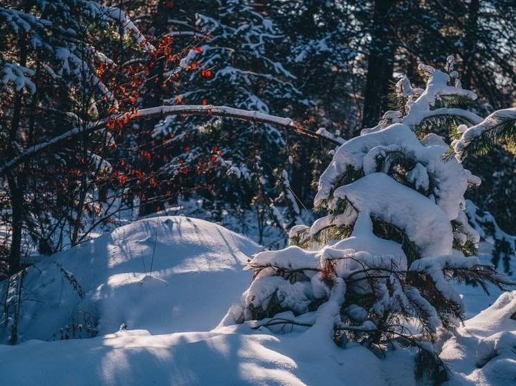     фото Александра Тонких