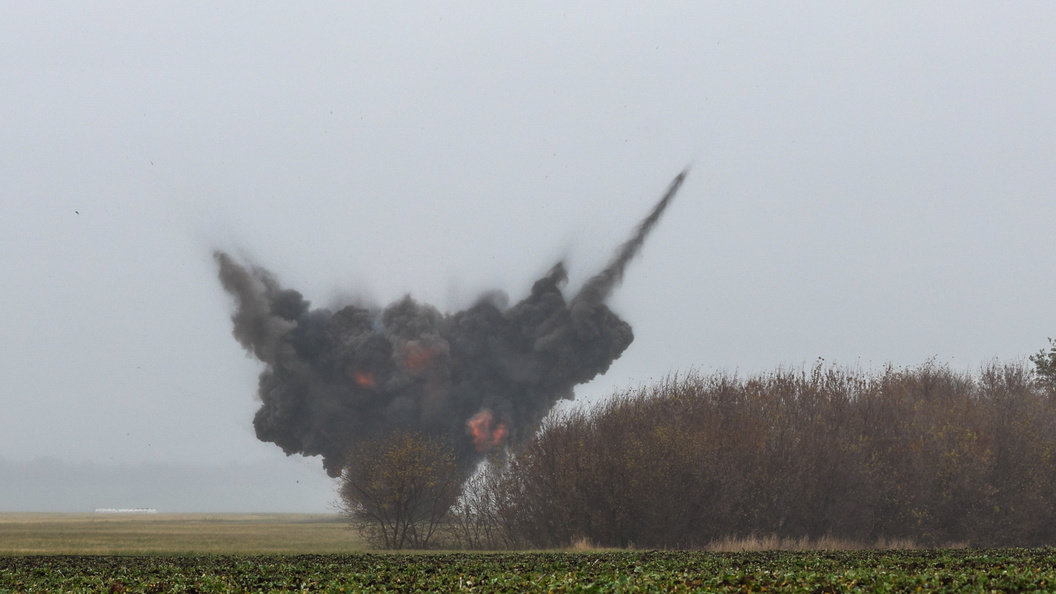    Фото: Shatokhina Natalya/news.ru/Globallookpress