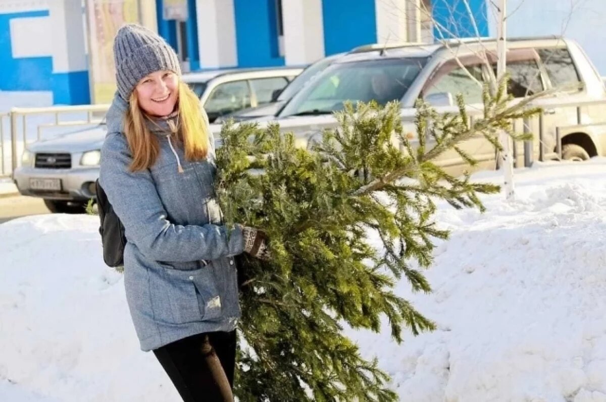    Камчатцев призывают сдать живые елки в утиль в январе