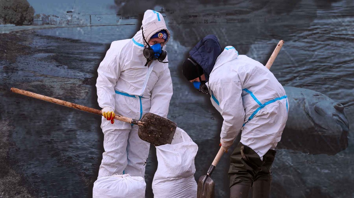    Коллаж: Daily Storm