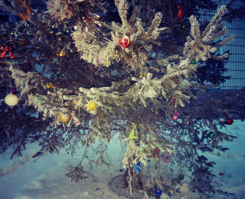 Фото автора 