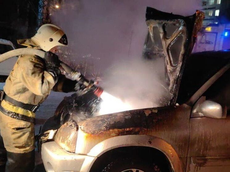     Фото: ГУ МЧС России по Томской области