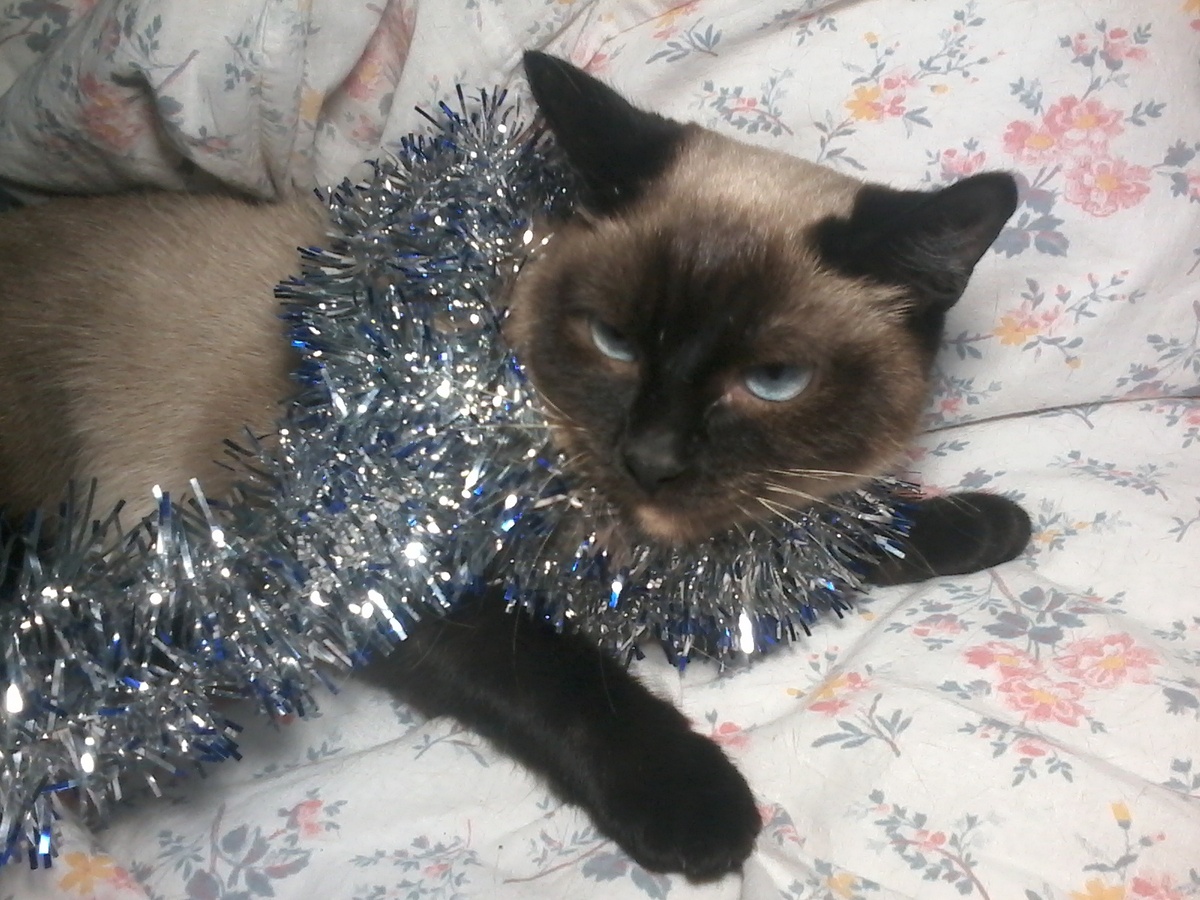 Фото из личного архива 