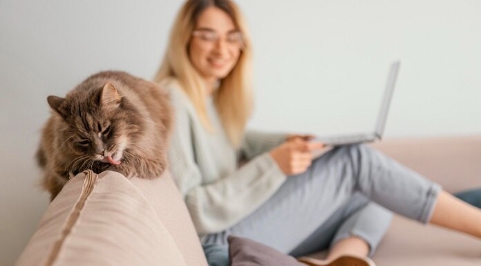   Изображение от freepik