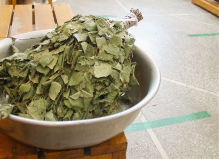    Фото из телеграма мэра Омска Сергея Шелеста Алина Лакшина