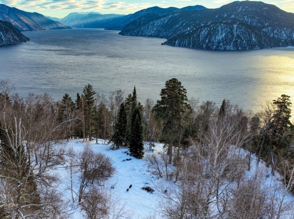    Телецкое озеро. Источник: Татьяна Клименко, Роман Воробьев