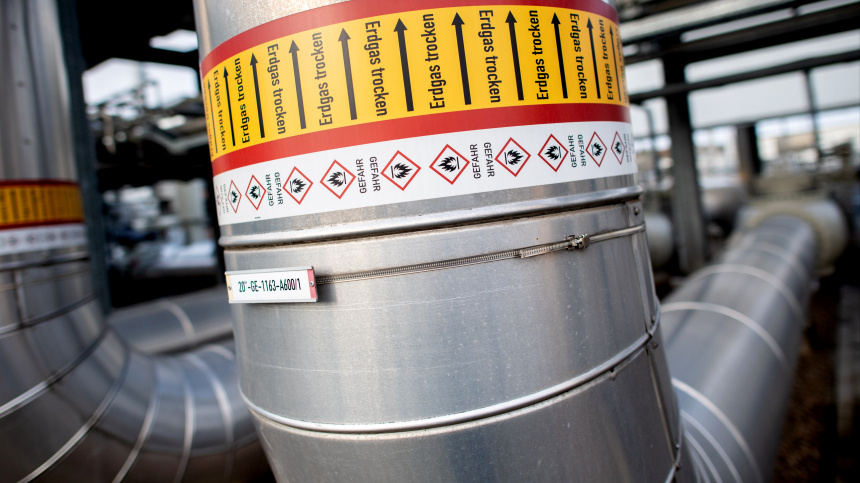    Фото: www.globallookpress.com/ Hauke-Christian Dittrich; 5-tv.ru