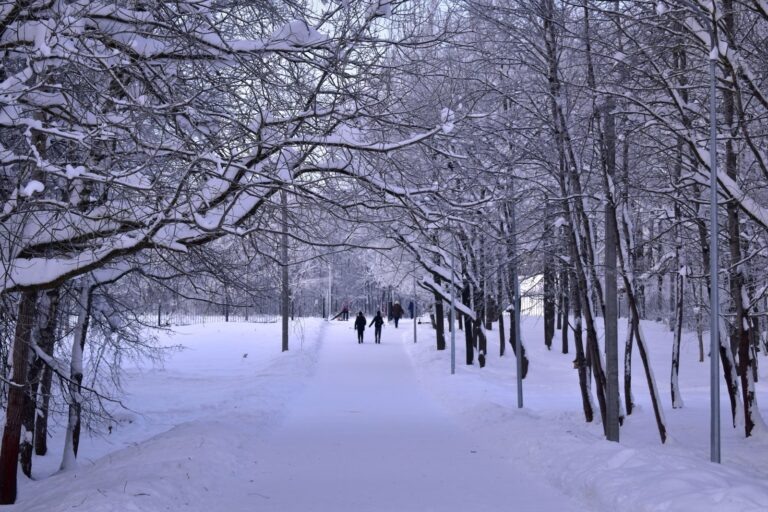    Фото: unsplash.com/Polina Green Илья Федоров