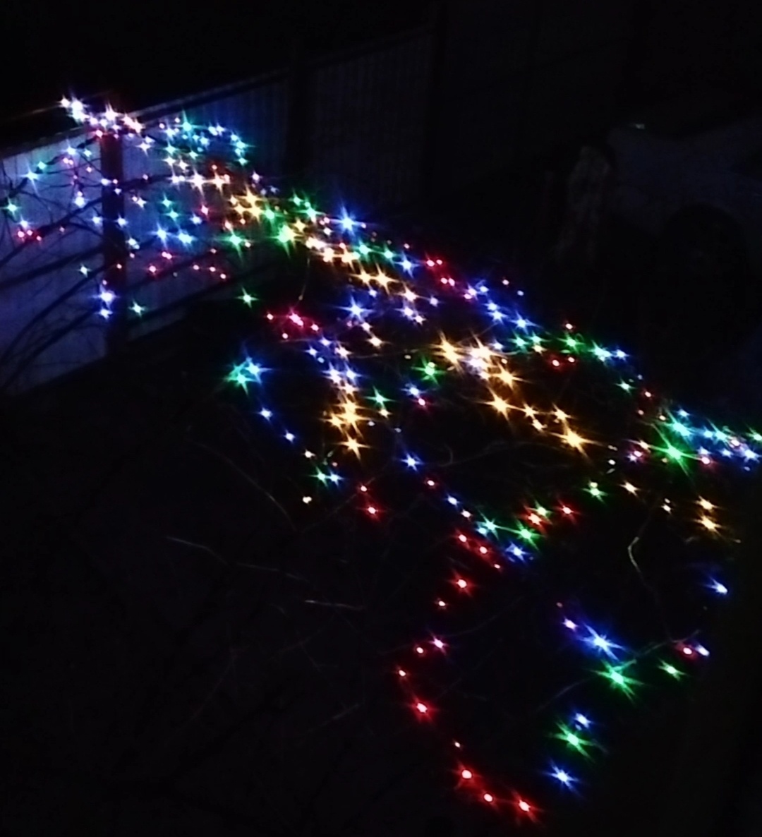 Утренний вид из окна