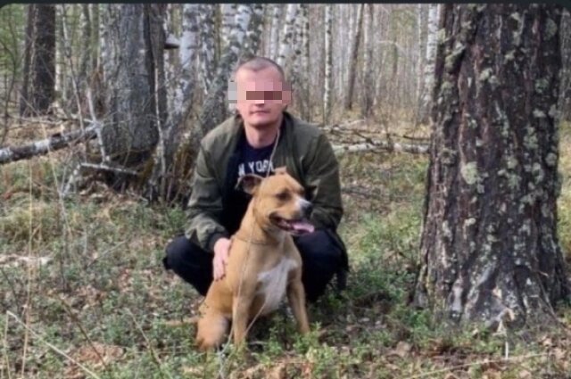    Фото: Группа ВК "Помощь питбулям и стаффам - Новосибирск"