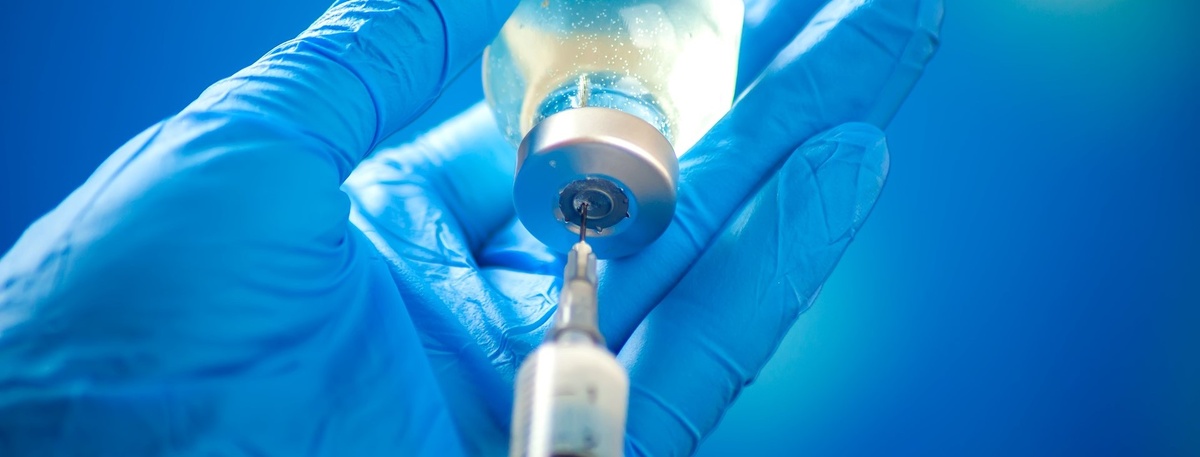    Автор фото: vostock-photo