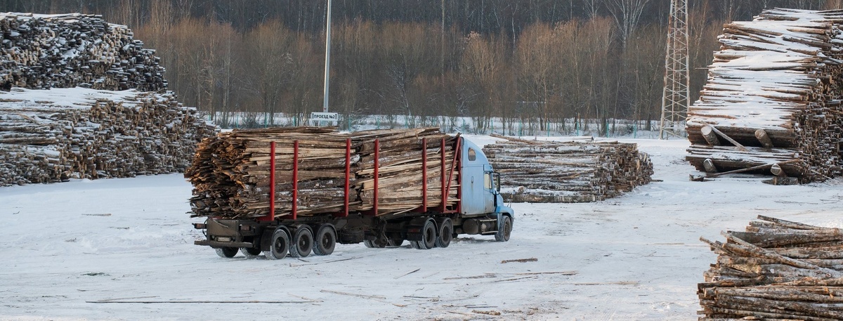    Автор фото: Сергей Ермохин / "ДП"