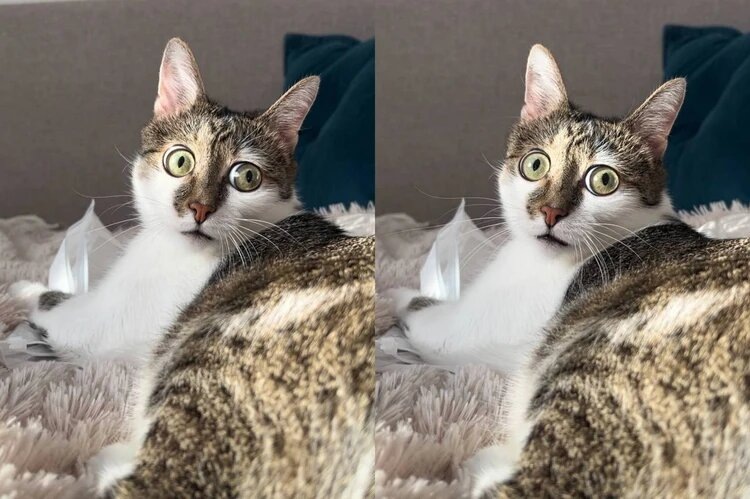 Фото и видео: «КП-Барнаул», «Катунь 24»