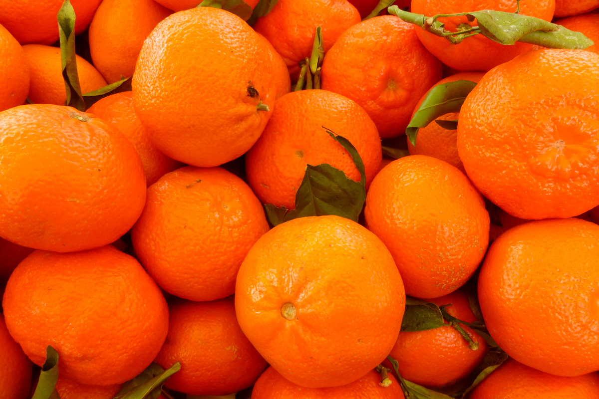    Фото: dietmaha / Pixabay.com