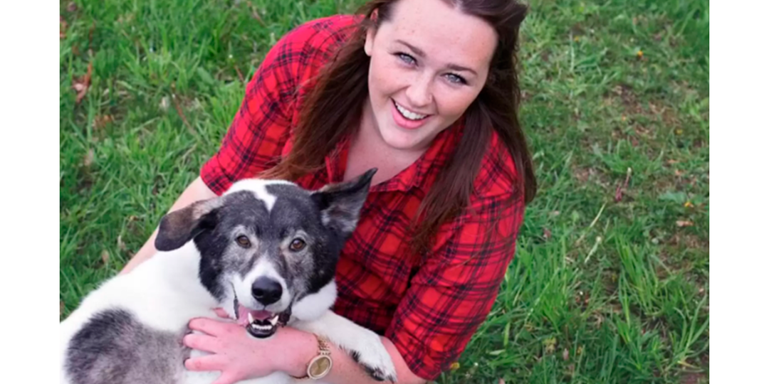 Старый пес вспомнил ребенка, с которым рос, но давно не видел