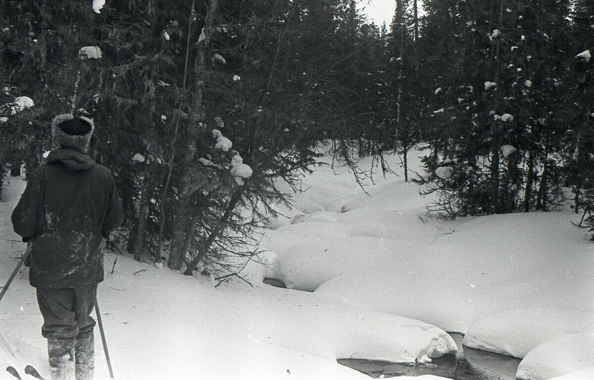 Это снимок из дятловедения. И все его видели. Зачем спрашивать "откуда ручьи"? Из открытого доступа.